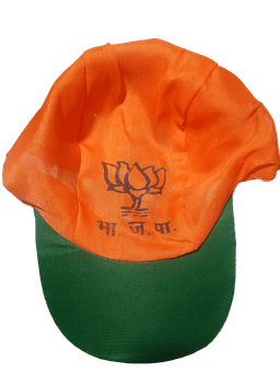 Thumbnail 1 of Election Caps